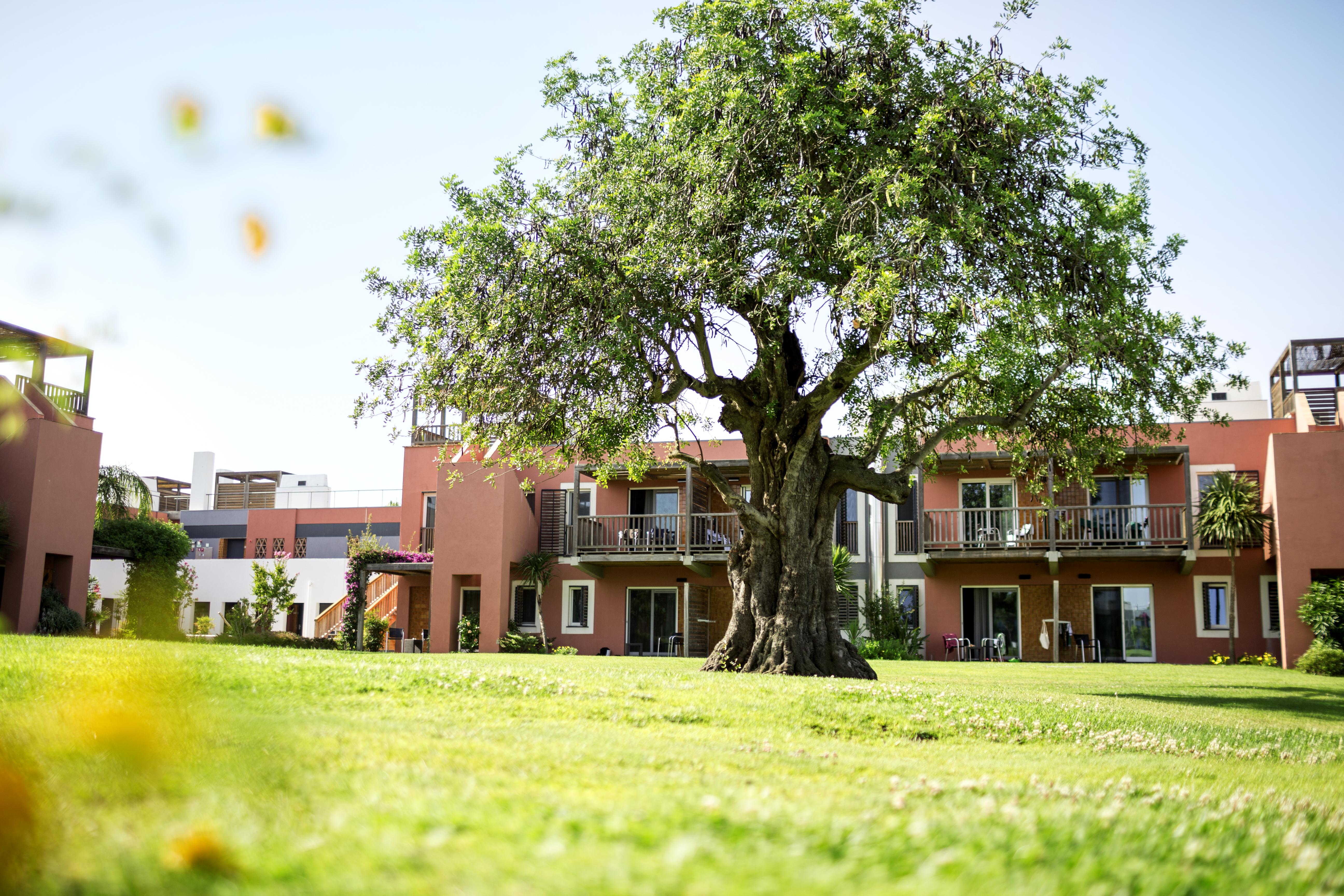 Hotel Robinson Quinta Da Ria Vila Nova de Cacela Exterior foto